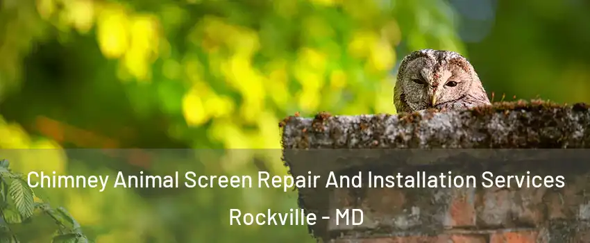  Chimney Animal Screen Repair And Installation Services Rockville - MD