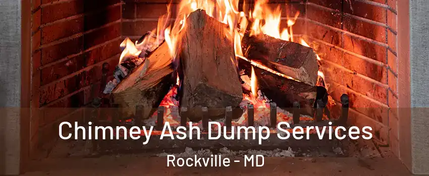  Chimney Ash Dump Services Rockville - MD