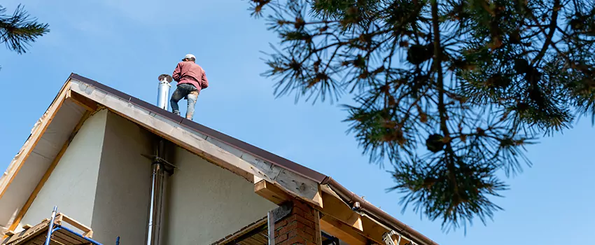 Birds Removal Contractors from Chimney in Rockville, MD