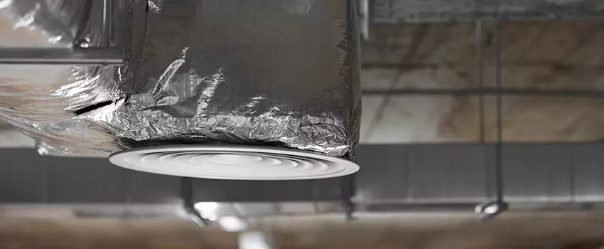 Signs of Dust Accumulation in Vents in Rockville, MD