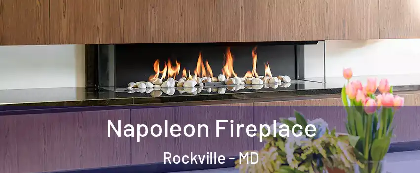  Napoleon Fireplace Rockville - MD