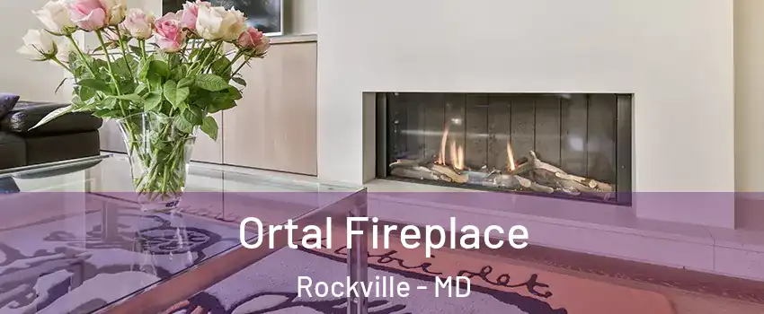 Ortal Fireplace Rockville - MD